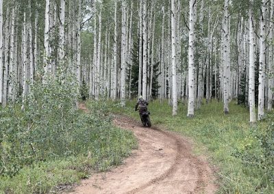 Photo of dirtbiker riding from the meadow into a massive forest.