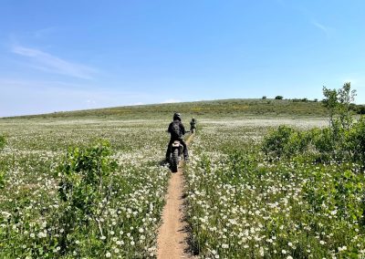 Picture of two dirtbikers in a field of flowers.