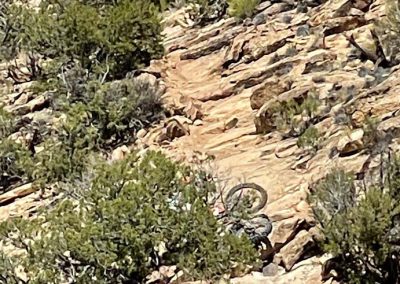 Rider's bike on dirtbike tour is upside down off of the trail.
