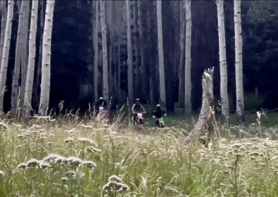 Three young dirtbike students emerge from an aspen forest into the meadows of the Uncompaghre plateau.