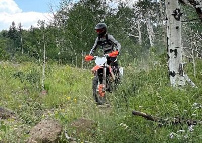 Dirtbiker rides amongst aspen trees, tall grasses and flowers.