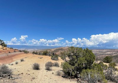 Riders atop a ridge looking at blue skies with multicolor sands and juniper trees